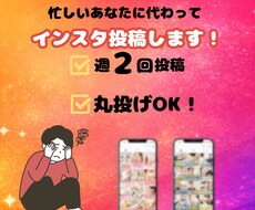 インスタ投稿を週2回代行します インスタ投稿する時間がないあなたに代わって投稿します