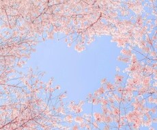 鑑定1,000字＊ワンコインでリーディングします イメージ1