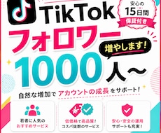 TikTokフォロワー1,000人～増やします イメージ1