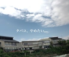 禁煙サポート♤★応援します 1週間★ガンバレ！メッセージ♤送ります★女性限定♡