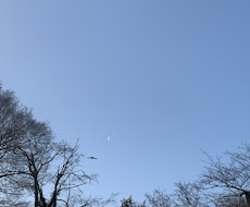 あなたの秘密の友だちになります イメージ1