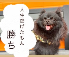 あなたに喝を入れます イメージ1