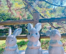 恋愛についてシンプルに占います イメージ1