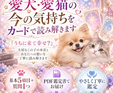 愛犬・愛猫の本音と想いを読み解きます イメージ1
