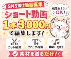 SNS向けショート動画を1本編集します イメージ1