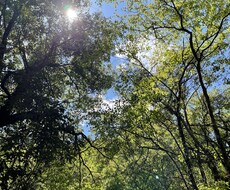 誰にも言えない悩み 心のモヤモヤ 私が聞きます 心の中頭の中を支配する悩みに振り回されるのはもう終わりです！