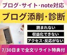 ブログ添削診断⭐︎成果につながるブログ改善をします 文章×アフィリエイト×SEO×収益化の問題点を記事添削＋診断