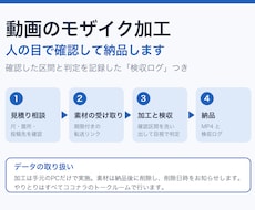 検収ログ付きの動画モザイク加工を目視で行います イメージ1