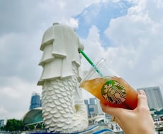 シンガポールの旅行プランを作成します 現地在住2児の母のブロガーが個人から家族旅行まで幅広くご提案
