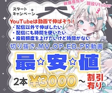 最安値！バズる動画作ります イメージ1
