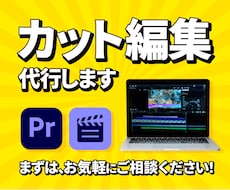 動画編集20分から3000円〜カット編集代行します イメージ1
