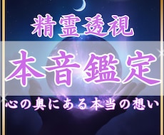 精霊透視✴︎あの人の本当の想いを読み解きます 心の奥にある本当の想いを、そのままお伝えします。