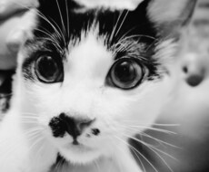 DVで悩んでる方の話し相手します イメージ1