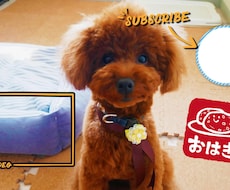YouTubeのOPやED作成します ほっこり系のオープニング、エンディングムービーです