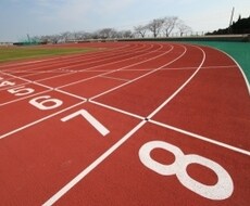長距離のメニュー、食事、メンタル、アドバイスします イメージ1