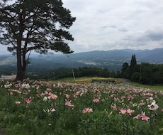 あなたの体と心のお悩み、看護師が承ります イメージ1