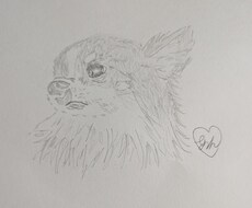 いろんなジャンルの絵の依頼を募集しています イメージ1