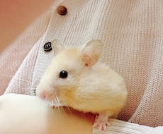 返信の早さに自信あり！あなたのお悩みを聞きます イメージ1