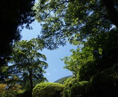 Excelでの作業自動化！　3時間のお仕事が3分に。