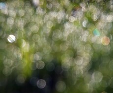 臨時☆あなたの周りの困ったさん対策を姓名判断します むぎむぎ２２２さんへの臨時メニューです