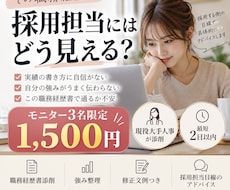 採用担当が職務経歴書を人事目線で添削します イメージ1