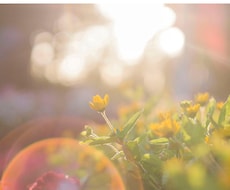 辛い！聞いてほしい！　私が聞きます イメージ1