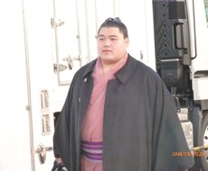 大相撲観戦のお勧めの過ごし方教えます せっかく行くならこんなプランで回ってみては？
