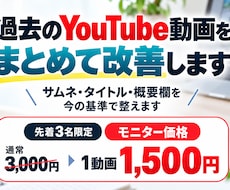 過去のYouTube動画をまとめて改善します イメージ1