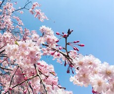 1コイン♡何でもお話聞きます 聞いてほしい。でも話せない。そんなあなたの味方です。