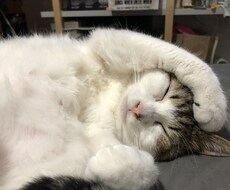 お悩み相談聞きます イメージ1