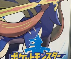 ポケモン剣盾育てます イメージ1