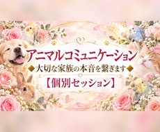 アニマルコミュニケーション大切な想いを繋ぎます イメージ1