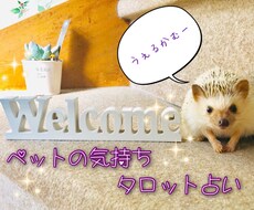 アニマルコミュニケーション！ペットの気持ち占います 自分のペットはどう思っているんだろう？相性はどうなのかな？
