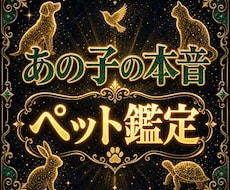 ペットの本音と気持ちを霊視であなたへお届けします 亡くなった子も今いる子も。あの子の想いとあなたの心両方視ます