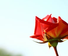 あの人とのご縁・過去世の繋がりをお伝えます