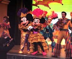 TDL東京ディズニーランドのスケジュールを組みます リクエストに応じてあなたに最適なまわり方を分刻みでアドバイス