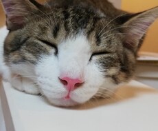 あなたのお話し聞きます イメージ1