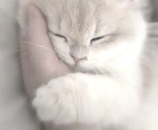 30分集中であなたのお話ききます イメージ1