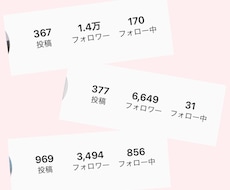 SNS代行運用します SNSの運用や集客にお困りの方へ