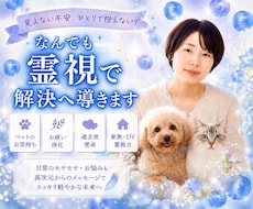 日常・スピリチュアルなんでも霊視で解決に導きます ペットのお気持ち・お祓い・過去世・使命・家族・DV・霊能力