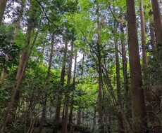 少しのお話でも何でも聞きます イメージ1