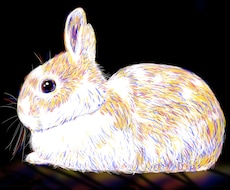 ペット・動物を三原色キャンバス風で描きます イメージ1