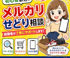 せどり初心者、中級者向けに相談をお受けします イメージ1