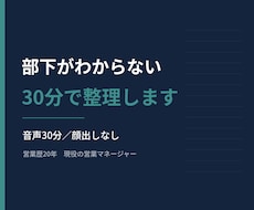 営業マネージャーの悩みを30分で整理します 営業歴20年・現役マネージャー／音声30分・顔出しなし