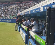 ロッテ戦千葉マリンスタジアムで一緒に観戦応援します イメージ1