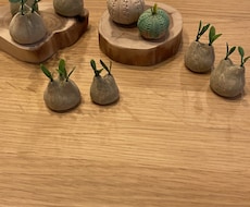 塊根植物フィギュアつくります イメージ1