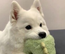 他愛ない話から日頃の愚痴まで聞きます イメージ1