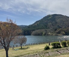 今抱えている、困り事や、悩み事相談に乗ります イメージ1
