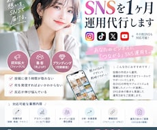SNSを1ヶ月運用代行します イメージ1