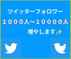 Twitterのフォロワー1000人増やします イメージ1